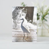 ビーチ・ノート・カード サンキューカード (スタンド正面)