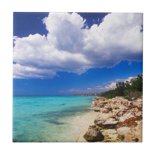 ビーチ、バラホナ、ドミニカ共和国 タイル (正面)