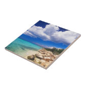 ビーチ、バラホナ、ドミニカ共和国 タイル (側面)