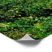 ビーチ、バラホナ、ドミニカ共和国、 ポスター (角)