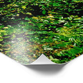 ビーチ，バラホナ，ドミニカ共和国， 2 フォトプリント            (角)