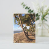 ビーチ、パームツリーアットパームコーブポストカード ポストカード (スタンド正面)