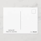 ビーチ、パームツリーアットパームコーブポストカード ポストカード (裏面)