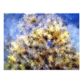 ビーチ フォトプリント            (正面)