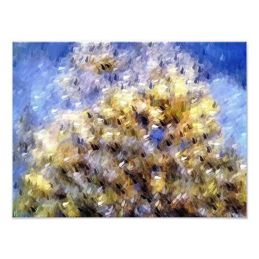 ビーチ フォトプリント            (正面)