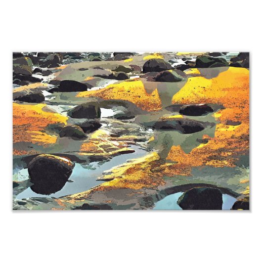 ビーチ フォトプリント            (正面)