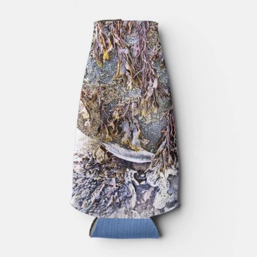 ビーチ ボトルクーラー (正面)