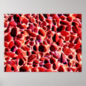 ビーチ ポスター (正面)