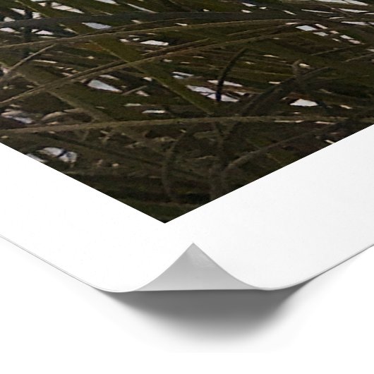 ビーチ ポスター (角)