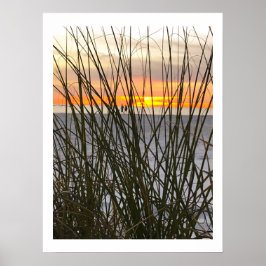 ビーチ ポスター