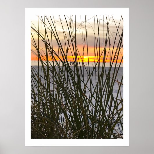 ビーチ ポスター (正面)