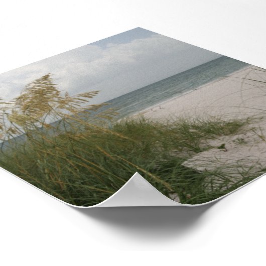 ビーチ ポスター (角)