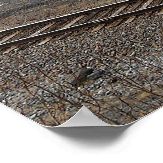 ビーチ ポスター (角)