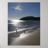 ビーチ ポスター (正面)
