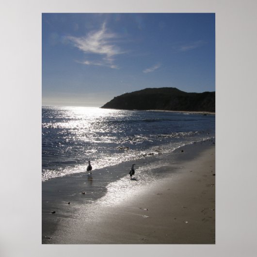 ビーチ ポスター (正面)