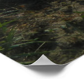 ビーチ ポスター (角)