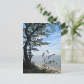 ビーチ! ポストカード (スタンド正面)