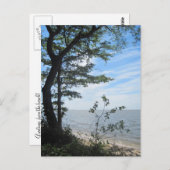 ビーチ! ポストカード (正面/裏面)