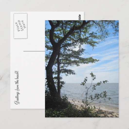 ビーチ! ポストカード (正面/裏面)