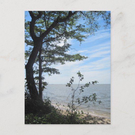 ビーチ! ポストカード (正面)