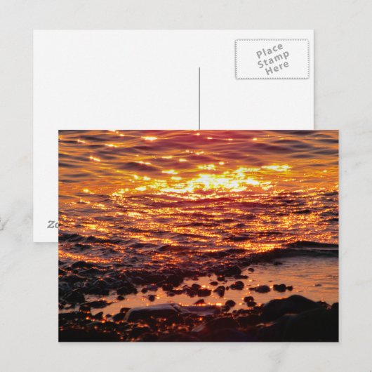 ビーチ ポストカード (正面/裏面)