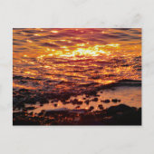 ビーチ ポストカード (正面)