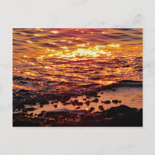 ビーチ ポストカード (正面)