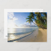 ビーチ ポストカード (正面/裏面)