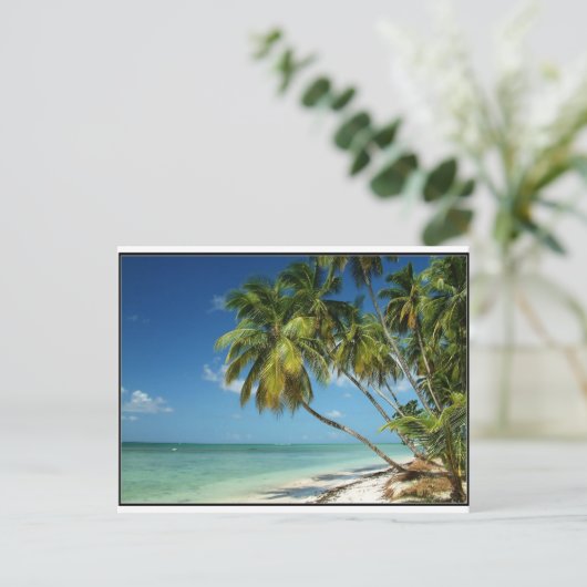 ビーチ ポストカード (スタンド正面)