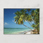 ビーチ ポストカード (正面)