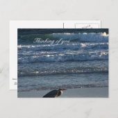 ビーチ ポストカード (正面/裏面)