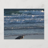 ビーチ ポストカード (正面)