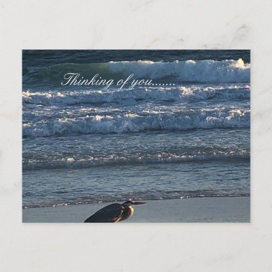 ビーチ ポストカード (正面)