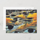 ビーチ ポストカード (正面/裏面)