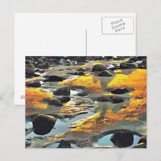 ビーチ ポストカード (正面/裏面)