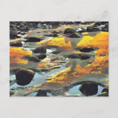 ビーチ ポストカード (正面)