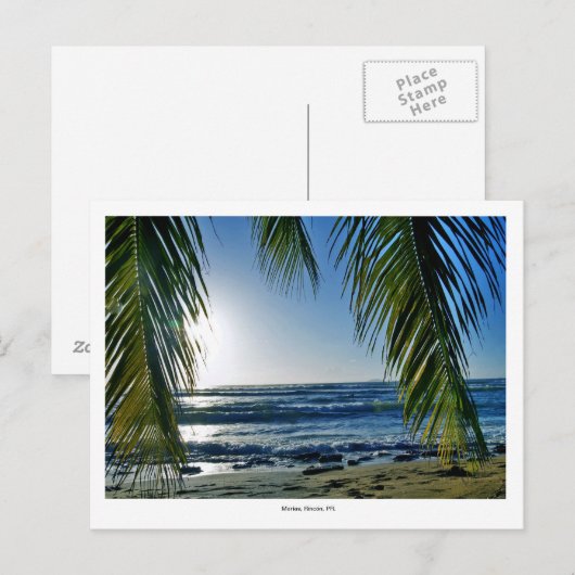 、ビーチ ポストカード (正面/裏面)