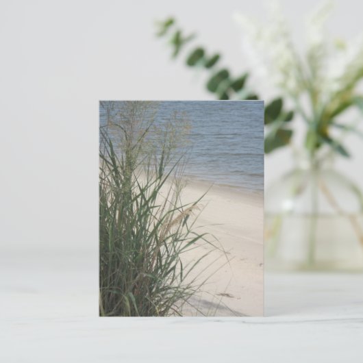 ビーチ! ポストカード (スタンド正面)