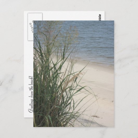 ビーチ! ポストカード (正面/裏面)