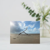 ビーチ ポストカード (スタンド正面)