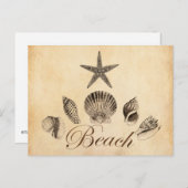 ビーチ ポストカード (正面/裏面)