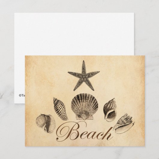 ビーチ ポストカード (正面/裏面)