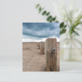 ビーチ ポストカード (スタンド正面)