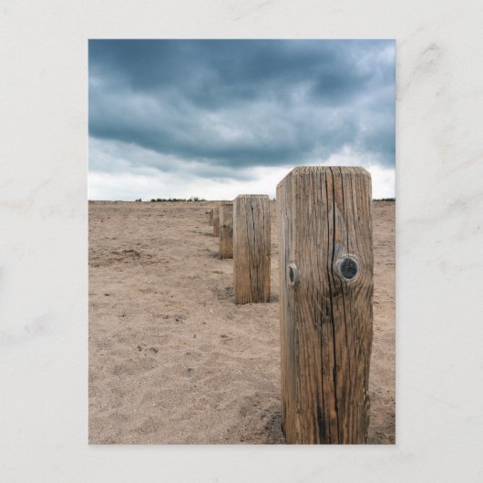 ビーチ ポストカード (正面)