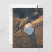 ビーチ ポストカード (正面/裏面)