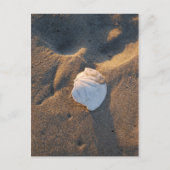 ビーチ ポストカード (正面)