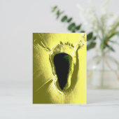 ビーチ ポストカード (スタンド正面)