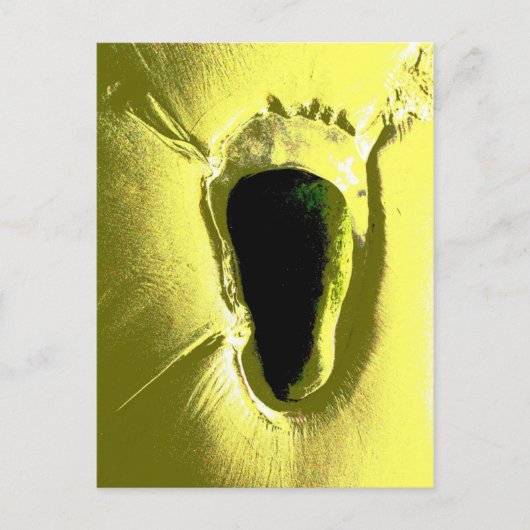 ビーチ ポストカード (正面)