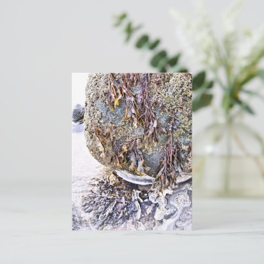 ビーチ ポストカード (スタンド正面)