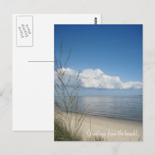 ビーチ! ポストカード (正面/裏面)